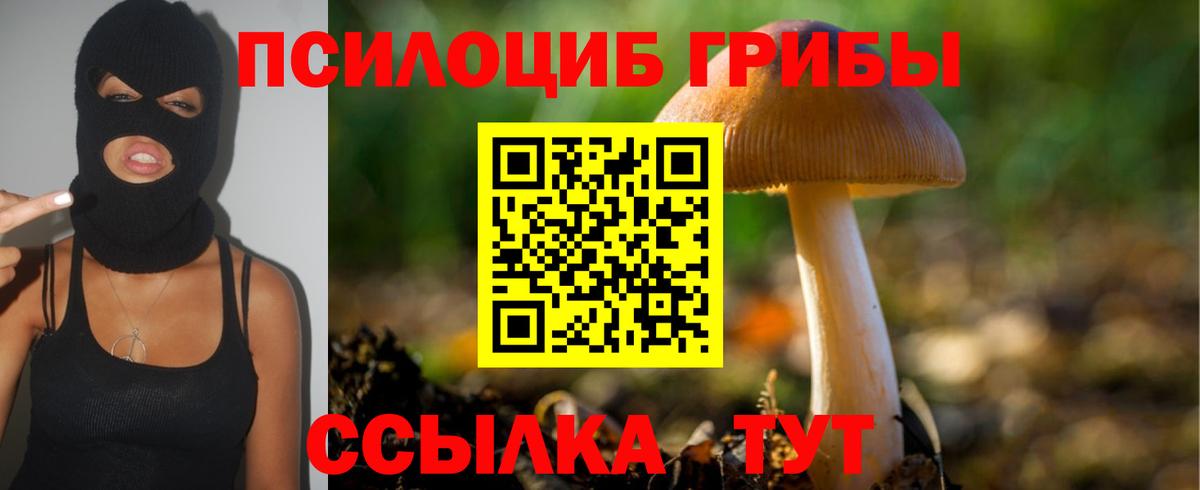 Железноводск  Галлюциногенные грибы Psilocybe  Галлюциногенные грибы Cubensis  Вход с VPN 